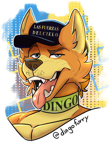 Dingo